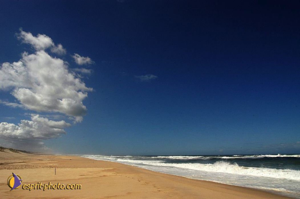 Nom de l'image : EP08-0393_(c)Norbert-JUNG — Description :